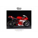 Kit déco Ducati 1098/1198 3.1 Rouge Blanc Noir