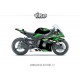 Kit déco Kawasaki ZX10R 2011/15 1.2 Noir Vert Blanc