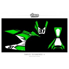 Kit déco Triumph Daytona 675 Type Moto2 Blinder 1.4 Noir Vert Blanc