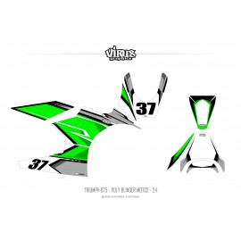 Kit déco Triumph Daytona 675 Type Moto2 Blinder 2.4 Blanc Vert Gris